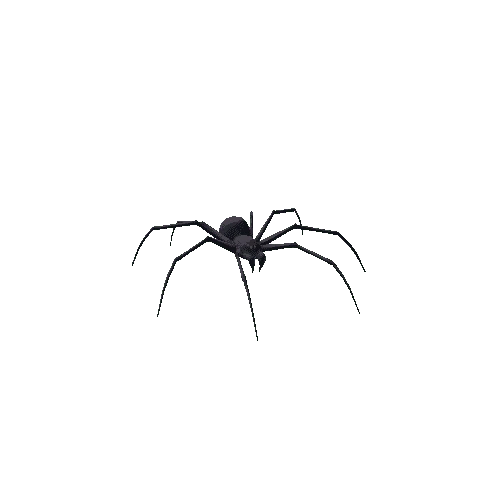 spider skn_01